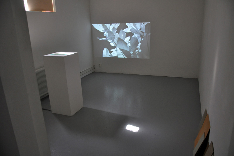 The Standing Now INSTALLATION 1